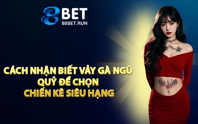 Cách nhận biết vảy gà Ngũ Quỷ để chọn chiến kê siêu hạng