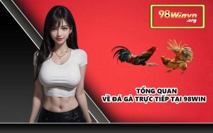 Tổng quan về đá gà trực tiếp tại 98WIN