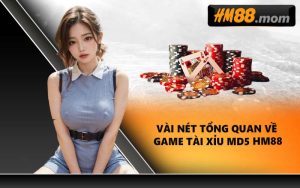 Vài nét tổng quan về game Tài Xỉu MD5 HM88
